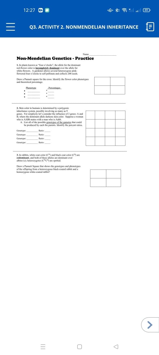 12:27 O
Q3. ACTIVITY 2. NONMENDELIAN INHERITANCE
Non-Mendelian Genetics - Practice
1. In plants known as "four o'clocks", the allele for the dominant
red-flower color is incompletely dominant over the allele for
white-flowers. A gardener allows several heterozygous pink-
lowered four o'clocks to self pollinate and collects 200 seeds.
Draw a Punnett square for the cross. Identify the flower color phenotypes
and theoretical percentage.
Phenotyps
Percentages
2. Skin color in humans is determined by a polygenic
inberitance system, possibly involving as many as 9
genes. For simplicity let's consider the influence of 2 genes: A and
B, where the dominant allele darkens skin color. Suppose a woman
who is AABb mates with a man who is Aabb.
A. List all of the passible genotypes of the gametes that could
be produced by cach the parents. Identify the percent ratios.
Genorype:
Ratio
Genotype:
Ratio
Genotype
Genotype
Ratio:
3. In rabbits, white coat color (C") and black cogt color (C) are
codeminant. and both of these alleles are dominant over
albino (e); heterozygotes (C"C") are spotted.
Draw a Punnett Square that shows the genotypes and phenotypes
of Ihe offspring froema
<>
