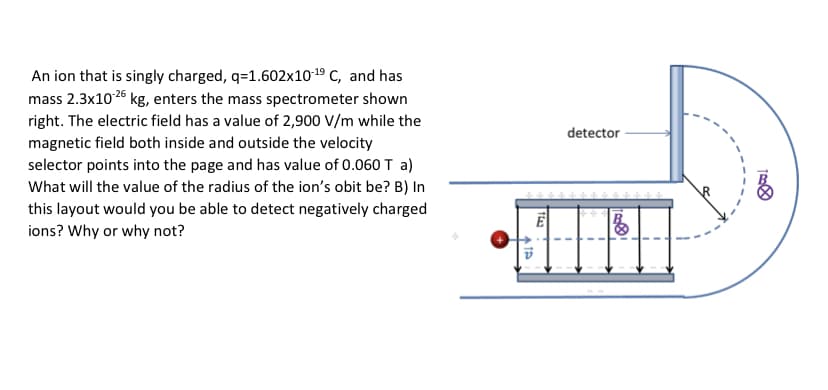 An ion that is singly charged, q=1.602x1019 C, and has
mass 2.3x1026 kg, enters the mass spectrometer shown
right. The electric field has a value of 2,900 V/m while the
magnetic field both inside and outside the velocity
selector points into the page and has value of 0.060 T a)
What will the value of the radius of the ion's obit be? B) In
detector
this layout would you be able to detect negatively charged
ions? Why or why not?
