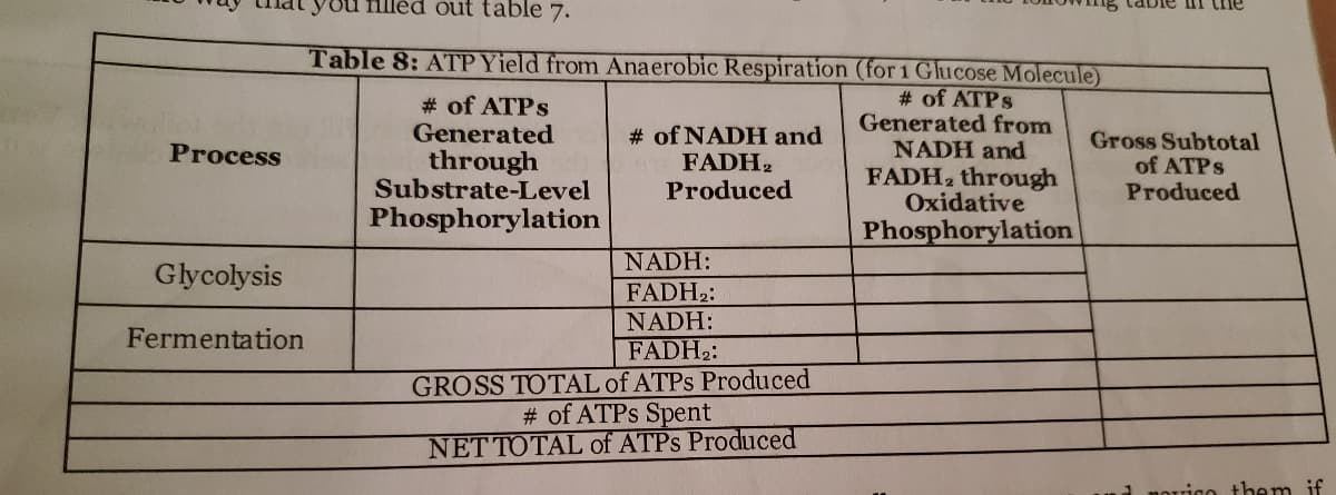 Ou filléd out table 7.
III the
Table 8: ATP Yield from Anaerobic Respiration (for 1 Glucose Molecule)
# of ATPS
Generated from
NADH and
# of ATPS
Generated
through
Substrate-Level
Phosphorylation
# of NADH and
FADH2
Produced
Gross Subtotal
of ATPS
Produced
Process
FADH, through
Oxidative
Phosphorylation
NADH:
Glycolysis
FADH2:
NADH:
Fermentation
FADH2:
GROSS TOTAL of ATPS Produced
# of ATPS Spent
NET TOTAL of ATPS Produced
them if
