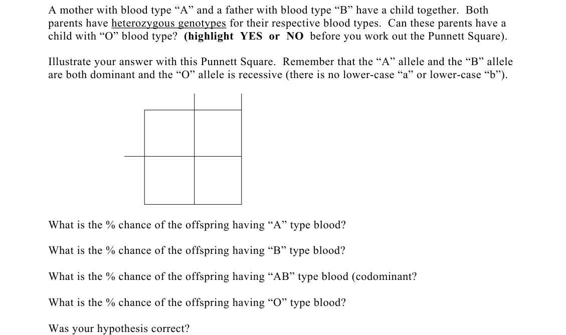A mother with blood type “A” and a father with blood type “B” have a child together. Both
parents have heterozygous genotypes for their respective blood types. Can these parents have a
child with "O" blood type? (highlight YES or NO before you work out the Punnett Square).
Illustrate your answer with this Punnett Square. Remember that the “A” allele and the "B" allele
are both dominant and the "O" allele is recessive (there is no lower-case "a" or lower-case "b").
What is the % chance of the offspring having "A" type blood?
What is the % chance of the offspring having "B" type blood?
What is the % chance of the offspring having "AB" type blood (codominant?
What is the % chance of the offspring having "O" type blood?
Was your hypothesis correct?