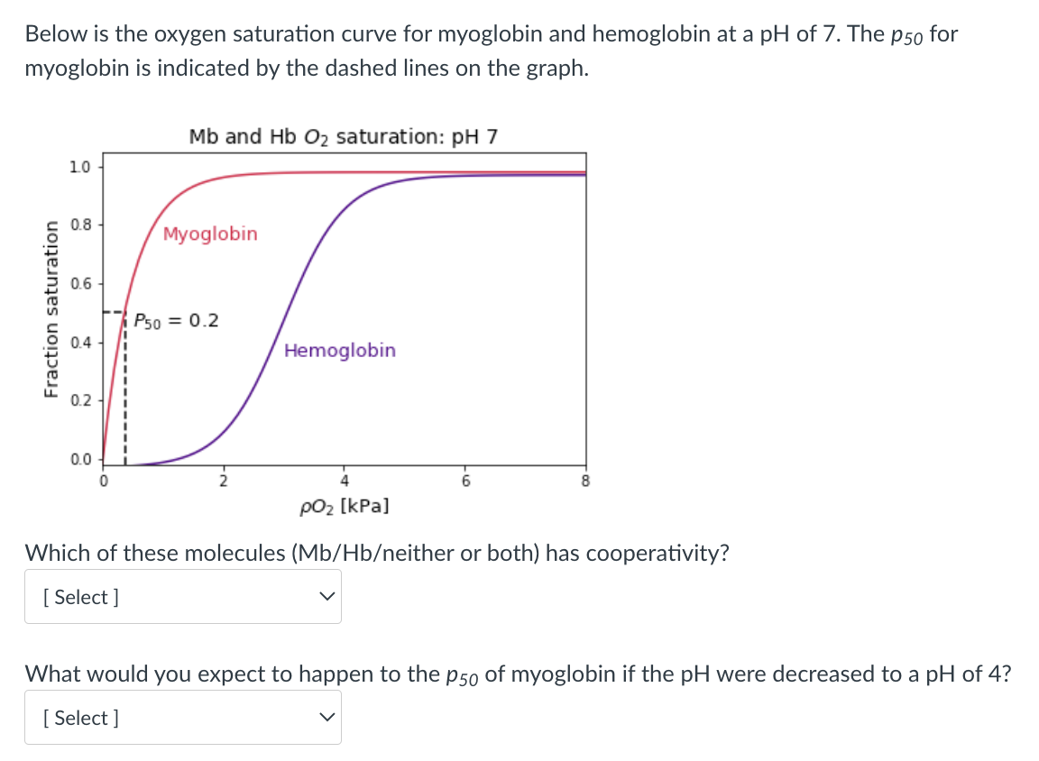 Below is the oxygen saturation curve for myoglobin and hemoglobin at a pH of 7. The p50 for
myoglobin is indicated by the dashed lines on the graph.
Mb and Hb O2 saturation: pH 7
10
0.8
Myoglobin
0.6
P50 = 0.2
0.4
Hemoglobin
0.2 -
0.0
pO2 [kPa]
Which of these molecules (Mb/Hb/neither or both) has cooperativity?
[ Select ]
What would you expect to happen to the p50 of myoglobin if the pH were decreased to a pH of 4?
[ Select ]
Fraction saturation
