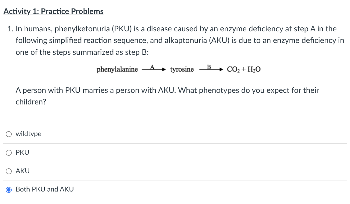 Activity 1: Practice Problems
1. In humans, phenylketonuria (PKU) is a disease caused by an enzyme deficiency at step A in the
following simplified reaction sequence, and alkaptonuria (AKU) is due to an enzyme deficiency in
one of the steps summarized as step B:
A
B
phenylalanine
tyrosine
CO₂ + H₂O
A person with PKU marries a person with AKU. What phenotypes do you expect for their
children?
wildtype
O PKU
O AKU
O Both PKU and AKU