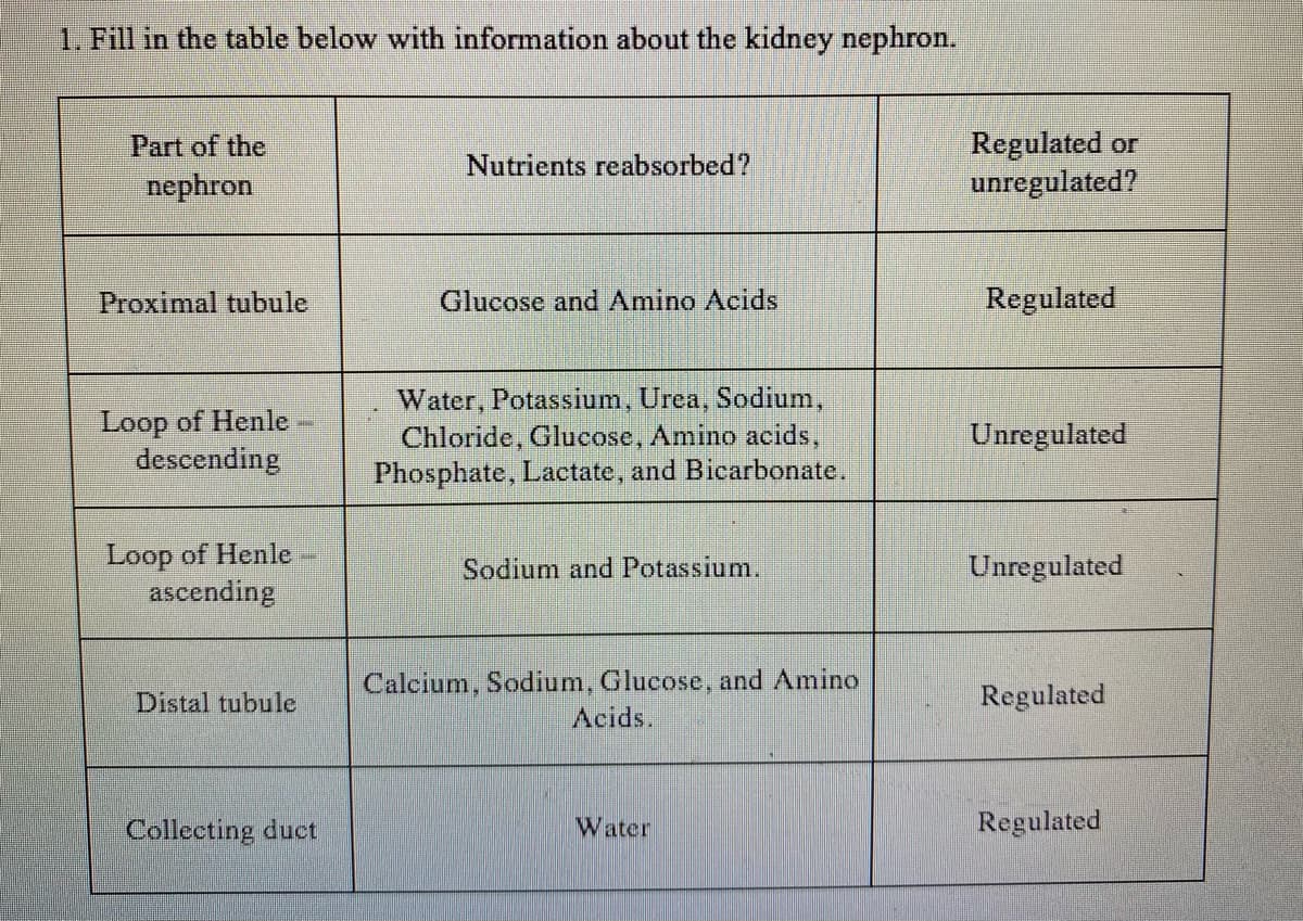 1. Fill in the table below with information about the kidney nephron.
Part of the
Regulated or
unregulated?
Nutrients reabsorbed?
nephron
Proximal tubule
Glucose and Amino Acids
Regulated
Loop of Henle
descending
Water, Potassium, Urea, Sodium,
Chloride, Glucose, Amino acids,
Phosphate, Lactate, and Bicarbonate.
Unregulated
Loop of Henle
ascending
Sodium and Potassium.
Unregulated
Calcium, Sodium, Glucose, and Amino
Acids.
Distal tubule
Regulated
Collecting duct
Water
Regulated
