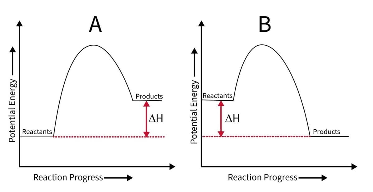 A
В
Products
Reactants
ΔΗ
ΔΗ
Reactants
Products
Reaction Progress-
Reaction Progress-
Potential Energy
Potential Energy
