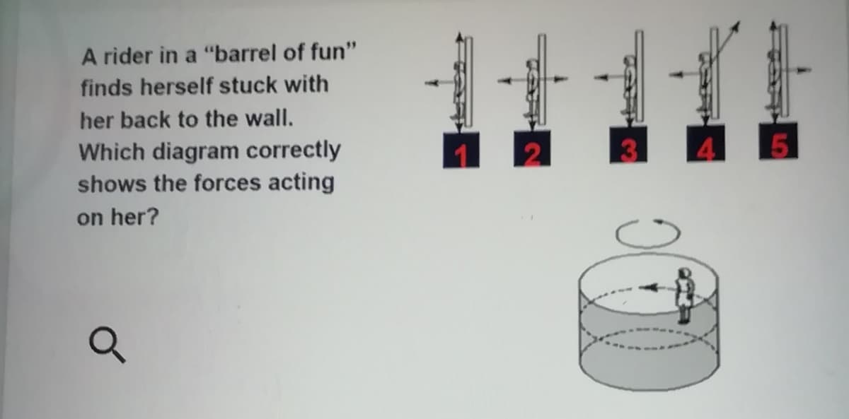 A rider in a "barrel of fun"
finds herself stuck with
her back to the wall.
Which diagram correctly
shows the forces acting
on her?
