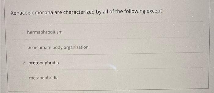 Xenacoelomorpha are characterized by all of the following except:
hermaphroditism
acoelomate body organization
protonephridia
metanephridia
