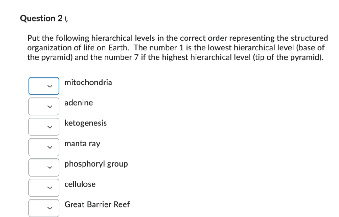 Question 2 (
Put the following hierarchical levels in the correct order representing the structured
organization of life on Earth. The number 1 is the lowest hierarchical level (base of
the pyramid) and the number 7 if the highest hierarchical level (tip of the pyramid).
>
mitochondria
adenine
ketogenesis
manta ray
phosphoryl group
cellulose
Great Barrier Reef