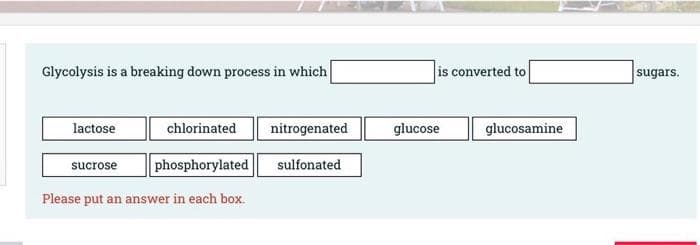 Glycolysis is a breaking down process in which
is converted to
sugars.
lactose
chlorinated
nitrogenated
glucose
glucosamine
phosphorylated
sulfonated
sucrose
Please put an answer in each box.

