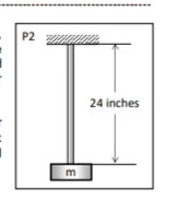 P2
24 inches
m
