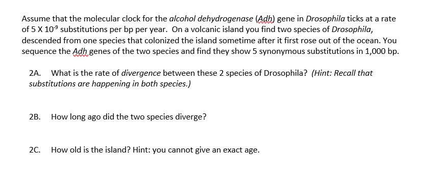 Assume that the molecular clock for the alcohol dehydrogenase (Adh) gene in Drosophila ticks at a rate
of 5 X 10-⁹ substitutions per bp per year. On a volcanic island you find two species of Drosophila,
descended from one species that colonized the island sometime after it first rose out of the ocean. You
sequence the Adh genes of the two species and find they show 5 synonymous substitutions in 1,000 bp.
2A. What is the rate of divergence between these 2 species of Drosophila? (Hint: Recall that
substitutions are happening in both species.)
2B. How long ago did the two species diverge?
2C.
How old is the island? Hint: you cannot give an exact age.