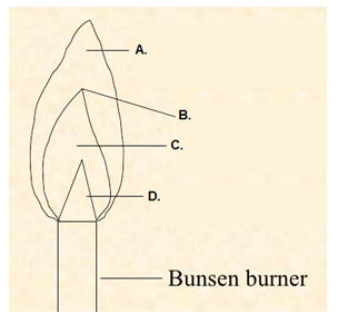 - A.
B.
C.
D.
Bunsen burner
