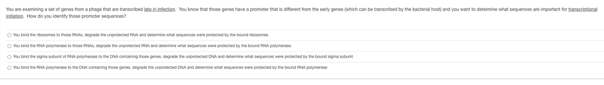 You are examining a set of genes from a phage that are transcribed late in infection. You know that those genes have a promoter that is different from the early genes (which can be transcribed by the bacterial host) and you want to determine what sequences are important for transcriptional
initiation. How do you identify those promoter sequences?
O You bind the ribosomes to those RNAS, degrade the unprotected RNA and determine what sequences were protected by the bound ribosomes.
You bind the RNA polymerase to those RNAS, degrade the unprotected RNA and determine what sequences were protected by the bound RNA polymerase.
O You bind the sigma subunit of RNA polymerase to the DNA containing those genes, degrade the unprotected DNA and determine what sequences were protected by the bound sigma subunit
O You bind the RNA polymerase to the DNA containing those genes, degrade the unprotected DNA and determine what sequences were protected by the bound RNA polymerase