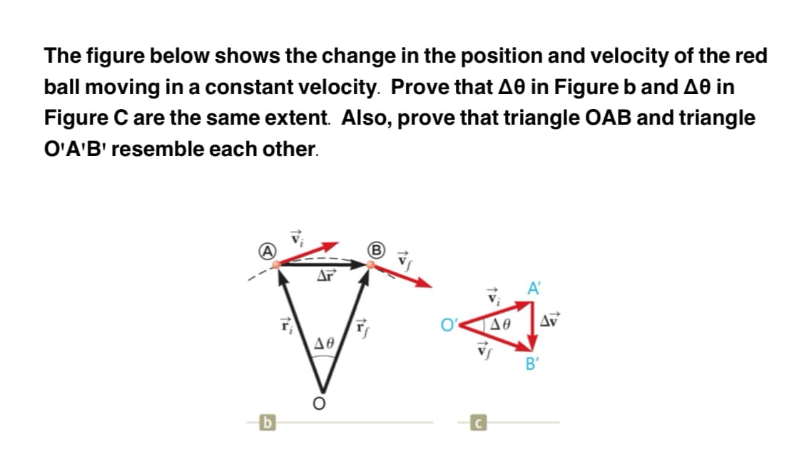 The figure below shows the change in the position and velocity of the red
ball moving in a constant velocity. Prove that A0 in Figure b and A0 in
Figure C are the same extent. Also, prove that triangle OAB and triangle
O'A'B' resemble each other.
A
F₁
20
Δ
B'