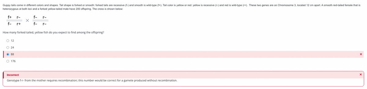 Guppy tails come in different colors and shapes. Tail shape is forked or smooth: forked tails are recessive (f-) and smooth is wild-type (f+). Tail color is yellow or red: yellow is recessive (r-) and red is wild-type (r+). These two genes are on Chromosome 3, located 12 cm apart. A smooth red-tailed female that is
heterozygous at both loci and a forked yellow-tailed male have 200 offspring. The cross is shown below:
f+
f-
O 12
O24
r-
O 88
O 176
r+
How many forked tailed, yellow fish do you expect to find among the offspring?
f-
f-
r-
Incorrect
Genotype f-r- from the mother requires recombination; this number would be correct for a gamete produced without recombination.
X
X