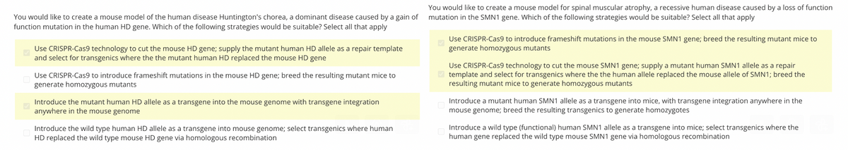 You would like to create a mouse model for spinal muscular atrophy, a recessive human disease caused by a loss of function
You would like to create a mouse model of the human disease Huntington's chorea, a dominant disease caused by a gain of mutation in the SMN1 gene. Which of the following strategies would be suitable? Select all that apply
function mutation in the human HD gene. Which of the following strategies would be suitable? Select all that apply
Use CRISPR-Cas9 technology to cut the mouse HD gene; supply the mutant human HD allele as a repair template
and select for transgenics where the the mutant human HD replaced the mouse HD gene
Use CRISPR-Cas9 to introduce frameshift mutations in the mouse HD gene; breed the resulting mutant mice to
generate homozygous mutants
Introduce the mutant human HD allele as a transgene into the mouse genome with transgene integration
anywhere in the mouse genome
Introduce the wild type human HD allele as a transgene into mouse genome; select transgenics where human
HD replaced the wild type mouse HD gene via homologous recombination
Use CRISPR-Cas9 to introduce frameshift mutations in the mouse SMN1 gene; breed the resulting mutant mice to
generate homozygous mutants
Use CRISPR-Cas9 technology to cut the mouse SMN1 gene; supply a mutant human SMN1 allele as a repair
template and select for transgenics where the the human allele replaced the mouse allele of SMN1; breed the
resulting mutant mice to generate homozygous mutants
Introduce a mutant human SMN1 allele as a transgene into mice, with transgene integration anywhere in the
mouse genome; breed the resulting transgenics to generate homozygotes
Introduce a wild type (functional) human SMN1 allele as a transgene into mice; select transgenics where the
human gene replaced the wild type mouse SMN1 gene via homologous recombination
