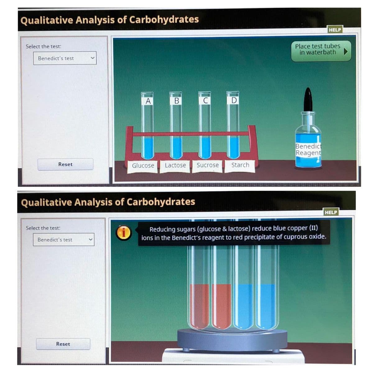 Qualitative Analysis of Carbohydrates
HELP
Place test tubes
in waterbath
Select the test:
Benedict's test
Benedict
Reagent
Reset
Glucose
Lactose
Sucrose
Starch
Qualitative Analysis of Carbohydrates
HELP
Reducing sugars (glucose & lactose) reduce blue copper (II)
ions in the Benedict's reagent to red precipitate of cuprous oxide.
Select the test:
Benedict's test
Reset
