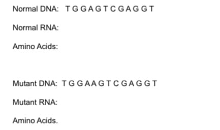 Normal DNA: TGGAGTCGAGGT
Normal RNA:
Amino Acids:
Mutant DNA: TGGAAGTCGAGGT
Mutant RNA:
Amino Acids.
