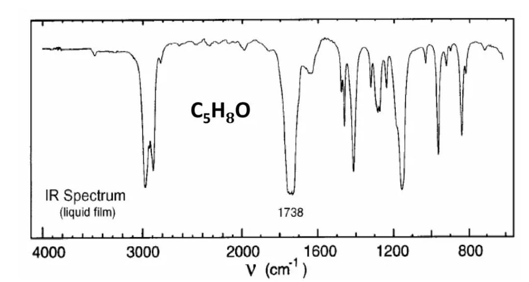 C;HgO
IR Spectrum
(liquid film)
1738
4000
3000
2000
1600
1200
800
V (cm)
