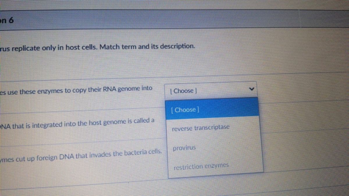 on 6
rus replicate only in host cells. Match term and its description.
es use these enzymes to copy their RNA genome into
(Choose
[Choose]
ONA that is integrated into Uhe host genome is called a
reverse transriplase
provirus
mes cul up forcign DNA that invades the bacteria colls,
restricion enzymes
