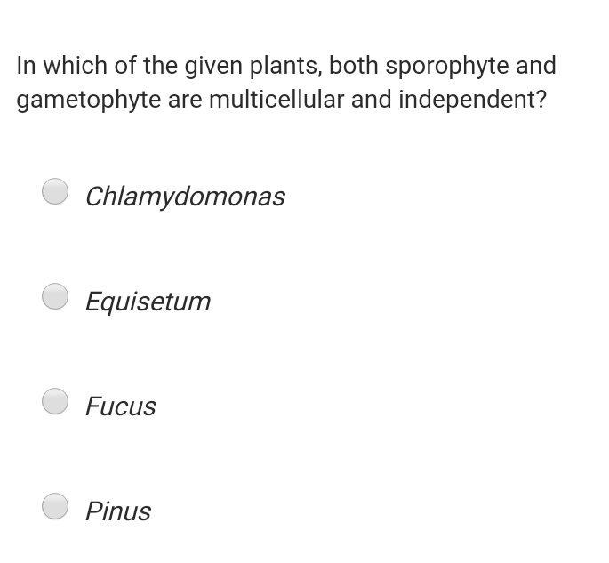 In which of the given plants, both sporophyte and
gametophyte are multicellular and independent?
Chlamydomonas
Equisetum
Fucus
Pinus
