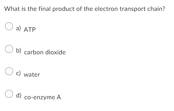 What is the final product of the electron transport chain?
a) ATP
b) carbon dioxide
c) water
d) co-enzyme A