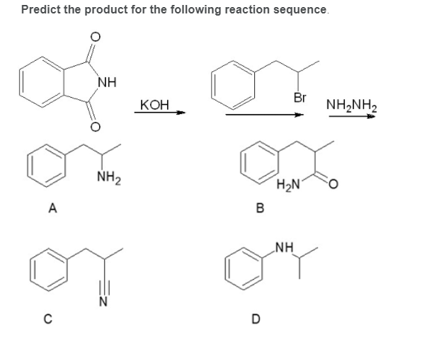 Predict the product for the following reaction sequence.
NH
Br
КОН
NH,NH2
NH2
H2N
A
_NH
N
D
