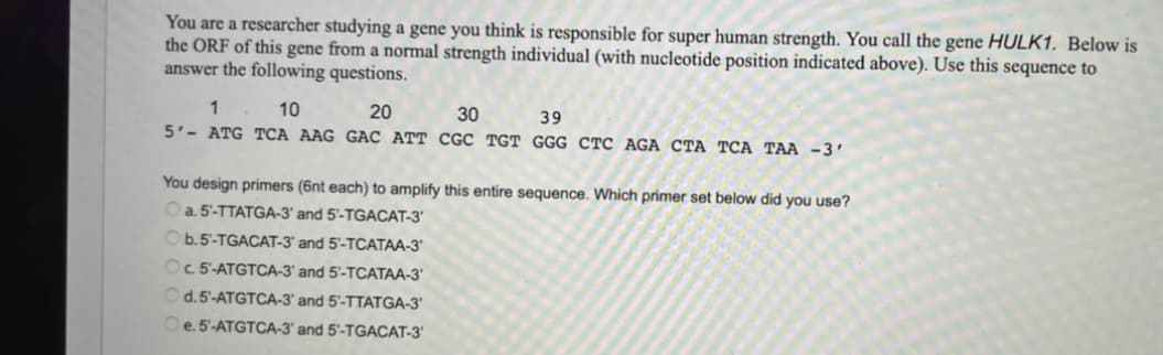 You are a researcher studying a gene you think is responsible for super human strength. You call the gene HULK1. Below is
the ORF of this gene from a normal strength individual (with nucleotide position indicated above). Use this sequence to
answer the following questions.
1
10
20
30
39
5'- ATG TCA AAG GAC ATT CGC TGT GGG CTC AGA CTA TCA TAA -3'
You design primers (6nt each) to amplify this entire sequence. Which primer set below did you use?
O a. 5-TTATGA-3' and 5'-TGACAT-3'
Ob.5'-TGACAT-3 and 5'-TCATAA-3'
Oc 5'-ATGTCA-3' and 5'-TCATAA-3'
Od. 5'-ATGTCA-3' and 5'-TTATGA-3'
Oe. 5'-ATGTCA-3' and 5'-TGACAT-3'