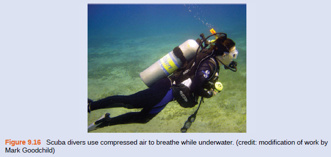 Figure 9.16 Scuba divers use compressed air to breathe while underwater. (credit: modification of work by
Mark Goodchild)
vers
