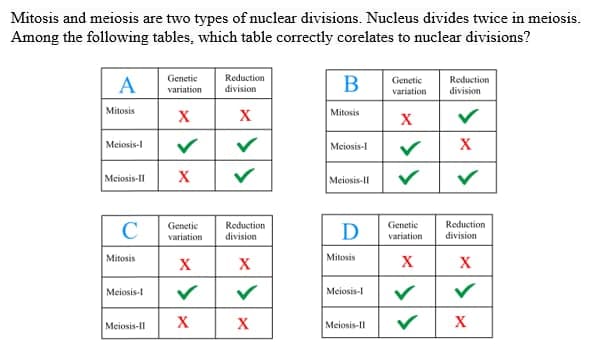 Mitosis and meiosis are two types of nuclear divisions. Nucleus divides twice in meiosis.
Among the following tables, which table correctly corelates to nuclear divisions?
Genetic
Reduction
В
Reduction
A
Genetic
variation
division
variation
division
Mitosis
X
X
Mitosis
X
Meiosis-
Meiosis-I
X
Meiosis-II
Meiosis-II
Reduction
division
Genetic
Reduction
C
Genetic
D
variation
variation
division
Mitosis
X
Mitosis
X
X
Meiosis-t
Meiosis-I
Meiosis-II
X
X
X
Meiosis-II
