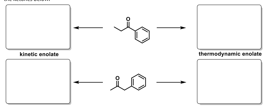 kinetic enolate
요
thermodynamic enolate