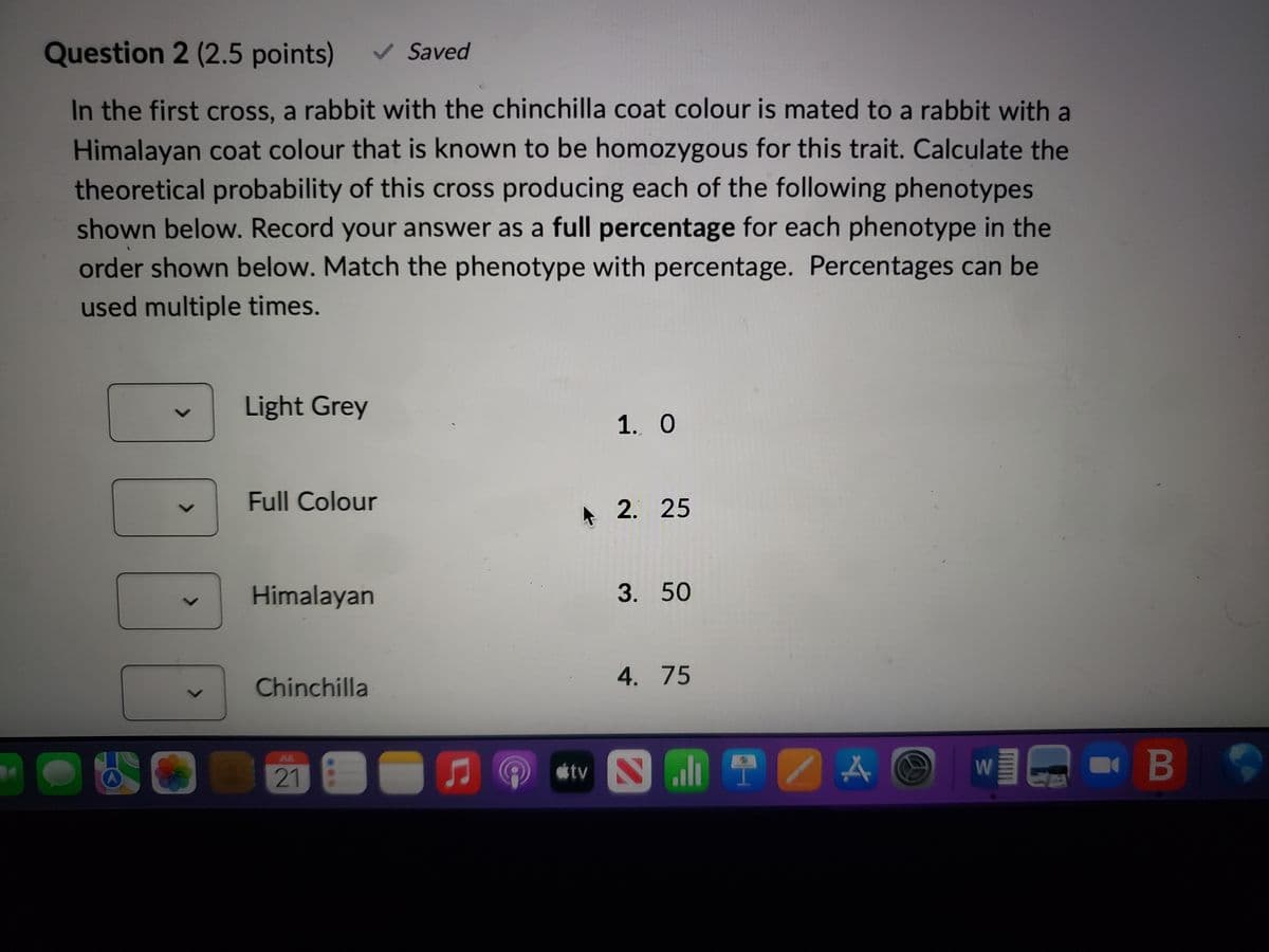 Question 2 (2.5 points) ✓ Saved
In the first cross, a rabbit with the chinchilla coat colour is mated to a rabbit with a
Himalayan coat colour that is known to be homozygous for this trait. Calculate the
theoretical probability of this cross producing each of the following phenotypes
shown below. Record your answer as a full percentage for each phenotype in the
order shown below. Match the phenotype with percentage. Percentages can be
used multiple times.
Light Grey
Full Colour
Himalayan
Chinchilla
21
♫
tv
1. O
2. 25
3. 50
4. 75
NITZA
WIG
B
