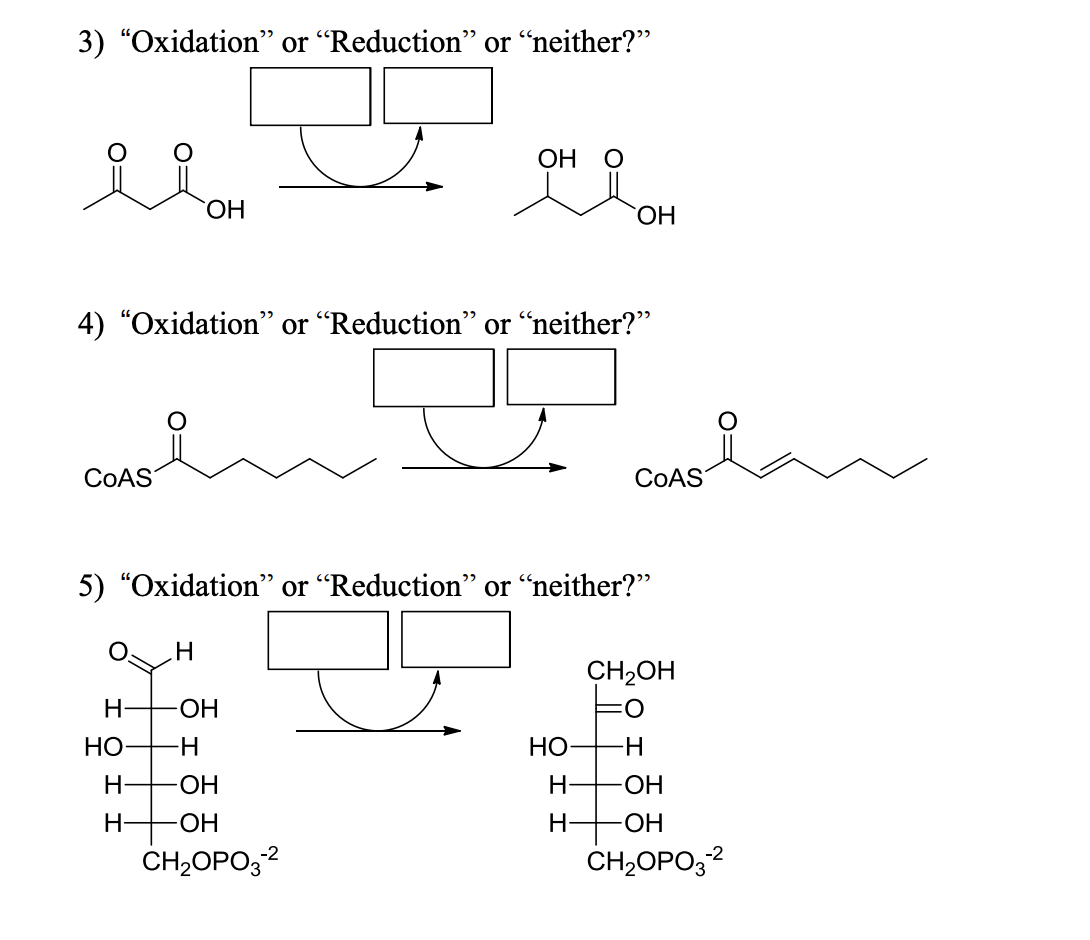 3) "Oxidation" or “Reduction" or “neither?”
яя
COAS
4) “Oxidation” or “Reduction” or “neither?”
ОН
НО
Н
Н- -OH
-H
-ОН
Н- -OH
H
5) "Oxidation" or "Reduction" or "neither?"
ОН
CH2OPO3-2
ОН
НО
Н
∙H
CoAS
CH2OH
:0
-H
-ОН
OH
CH2OPO3-2