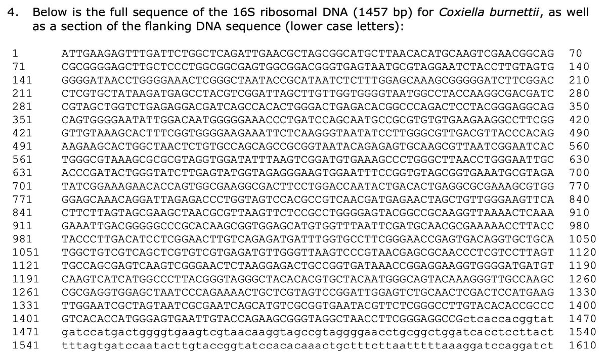 4.
1
71
141
211
281
351
421
491
561
631
701
771
841
911
981
Below is the full sequence of the 16S ribosomal DNA (1457 bp) for Coxiella burnettii, as well
as a section of the flanking DNA sequence (lower case letters):
ATTGAAGAGTTTGATTCTGGCTCAGATTGAACGCTAGCGGCATGCTTAACACATGCAAGTCGAACGGCAG
CGCGGGGAGCTTGCTCCCTGGCGGCGAGTGGCGGACGGGTGAGTAATGCGTAGGAATCTACCTTGTAGTG
1121
GGGGATAACCTGGGGAAACTCGGGCTAATACCGCATAATCTCTTTGGAGCAAAGCGGGGGATCTTCGGAC
CTCGTGCTATAAGATGAGCCTACGTCGGATTAGCTTGTTGGTGGGGTAATGGCCTACCAAGGCGACGATC
CGTAGCTGGTCTGAGAGGACGATCAGCCACACTGGGACTGAGACACGGCCCAGACTCCTACGGGAGGCAG
CAGTGGGGAATATTGGACAATGGGGGAAACCCTGATCCAGCAATGCCGCGTGTGTGAAGAAGGCCTTCGG
70
140
210
280
350
420
490
560
630
GTTGTAAAGCACTTTCGGTGGGGAAGAAATTCTCAAGGGTAATATCCTTGGGCGTTGACGTTACCCACAG
AAGAAGCACTGGCTAACTCTGTGCCAGCAGCCGCGGTAATACAGAGAGTGCAAGCGTTAATCGGAATCAC
TGGGCGTAAAGCGCGCGTAGGTGGATATTTAAGTCGGATGTGAAAGCCCTGGGCTTAACCTGGGAATTGC
ACCCGATACTGGGTATCTTGAGTATGGTAGAGGGAAGTGGAATTTCCGGTGTAGCGGTGAAATGCGTAGA 700
TATCGGAAAGAACACCAGTGGCGAAGGCGACTTCCTGGACCAATACTGACACTGAGGCGCGAAAGCGTGG 770
GGAGCAAACAGGATTAGAGACCCTGGTAGTCCACGCCGTCAACGATGAGAACTAGCTGTTGGGAAGTTCA 840
CTTCTTAGTAGCGAAGCTAACGCGTTAAGTTCTCCGCCTGGGGAGTACGGCCGCAAGGTTAAAACTCAAA
GAAATTGACGGGGGCCCGCACAAGCGGTGGAGCATGTGGTTTAATTCGATGCAACGCGAAAAACCTTACC
TACCCTTGACATCCTCGGAACTTGTCAGAGATGATTTGGTGCCTTCGGGAACCGAGTGACAGGTGCTGCA
910
980
1050
1120
1051 TGGCTGTCGTCAGCTCGTGTCGTGAGATGTTGGGTTAAGTCCCGTAACGAGCGCAACCCTCGTCCTTAGT
TGCCAGCGAGTCAAGTCGGGAACTCTAAGGAGACTGCCGGTGATAAACCGGAGGAAGGTGGGGATGATGT 1190
CAAGTCATCATGGCCCTTACGGGTAGGGCTACACACGTGCTACAATGGGCAGTACAAAGGGTTGCCAAGC
1191
1260
1261 CGCGAGGTGGAGCTAATCCCAGAAAACTGCTCGTAGTCCGGATTGGAGTCTGCAACTCGACTCCATGAAG 1330
1331 TTGGAATCGCTAGTAATCGCGAATCAGCATGTCGCGGTGAATACGTTCTCGGGCCTTGTACACACCGCCC 1400
1401 GTCACACCATGGGAGTGAATTGTACCAGAAGCGGGTAGGCTAACCTTCGGGAGGCCGctcaccacggtat 1470
1471 gatccatgactggggtgaagtcgtaacaaggtagccgtaggggaacctgcggctggatcacctccttact 1540
1541 tttagtgatccaatacttgtaccggtatccacacaaactgctttcttaatttttaaaggatccaggatct 1610