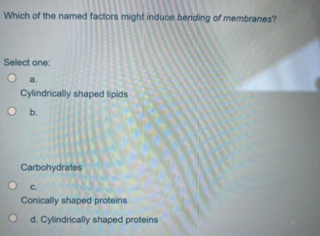 Which of the named factors might induce bending of membranes?
Select one:
O a.
Cylindrically shaped lipids
O b.
Carbohydrates
C.
Conically shaped proteins
O d. Cylindrically shaped proteins
