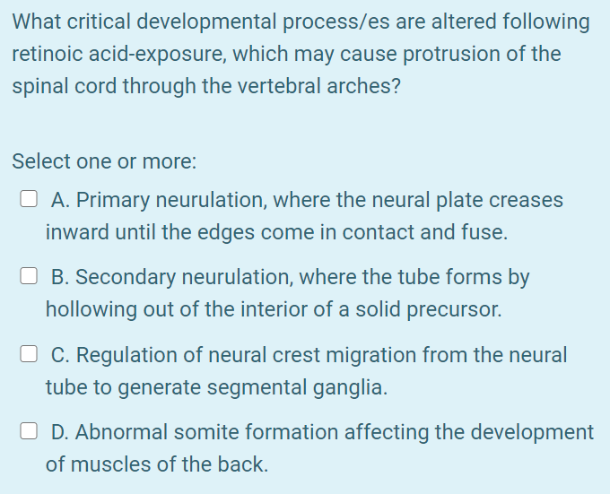 What critical developmental process/es are altered following
retinoic acid-exposure, which may cause protrusion of the
spinal cord through the vertebral arches?
Select one or more:
O A. Primary neurulation, where the neural plate creases
inward until the edges come in contact and fuse.
O B. Secondary neurulation, where the tube forms by
hollowing out of the interior of a solid precursor.
O C. Regulation of neural crest migration from the neural
tube to generate segmental ganglia.
O D. Abnormal somite formation affecting the development
of muscles of the back.
