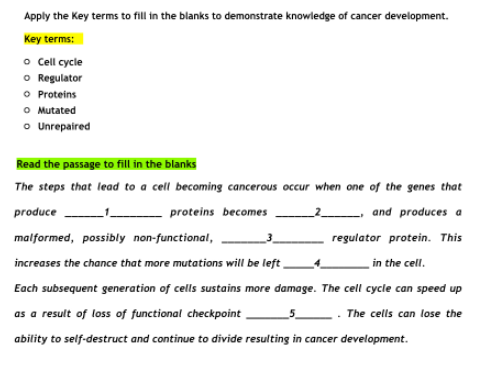 Apply the Key terms to fill in the blanks to demonstrate knowledge of cancer development.
Key terms:
o Cell cycle
O Regulator
O Proteins
O Mutated
o Unrepaired
Read the passage to fill in the blanks
The steps that lead to a cell becoming cancerous occur when one of the genes that
produce
proteins becomes
and produces a
malformed, possibly non-functional,
regulator protein. This
increases the chance that more mutations will be left,
in the cell.
Each subsequent generation of cells sustains more damage. The cell cycle can speed up
as a result of loss of functional checkpoint
The cells can lose the
ability to self-destruct and continue to divide resulting in cancer development.
