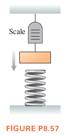 Scale
FIGURE P8.57
