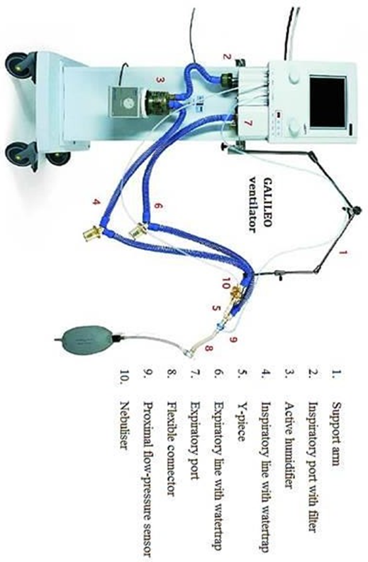 1.
Support am
2.
Inspiratory port with filter
3.
Active humidifier
GALILEO
4.
Inspiratory line with watertrap
ventilator
5.
Y-piece
10
5
2
6.
Expiratory line with watertrap
7.
Expiratory port
8.
Flexible connector
9.
Proximal flow-pressure sensor
10. Nebuliser
