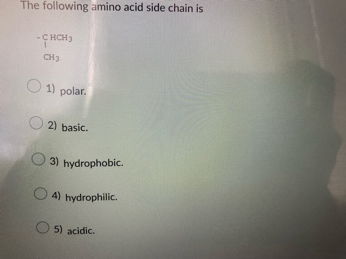 The following amino acid side chain is
- CHCH 3
-C
CH 3
1) polar.
2) basic.
3) hydrophobic.
4) hydrophilic.
5) acidic.