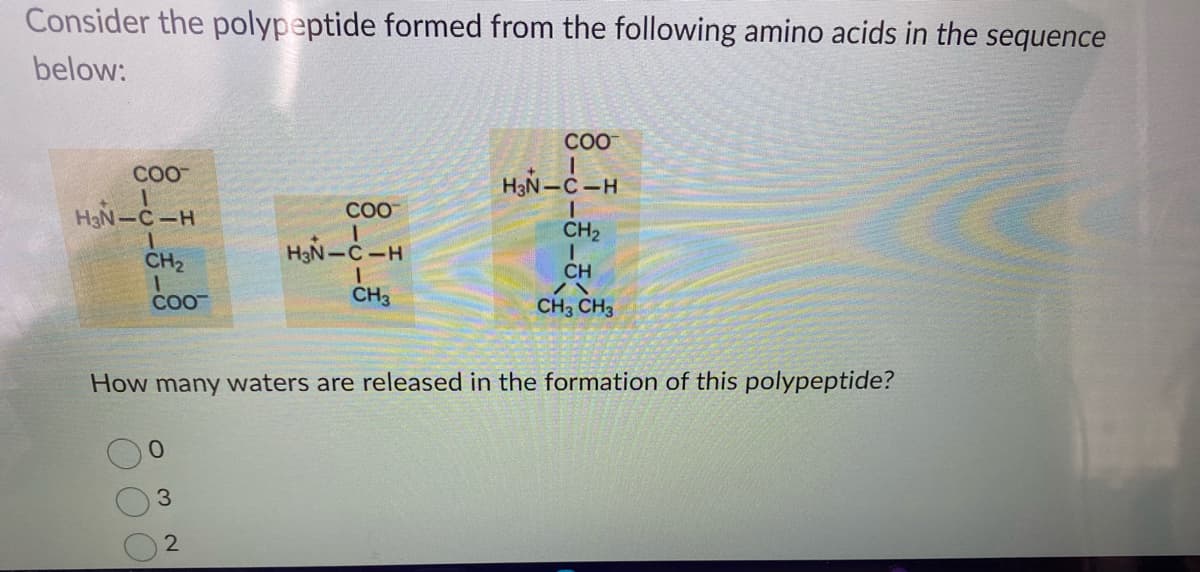 Consider the polypeptide formed from the following amino acids in the sequence
below:
COO™
H₂N-C-H
CH₂
coo-
O C
3
COO
H₂N-C-H
I
CH3
How many waters are released in the formation of this polypeptide?
2
COO
I
H₂N-C-H
CH₂
I
CH
/\
CH3 CH3