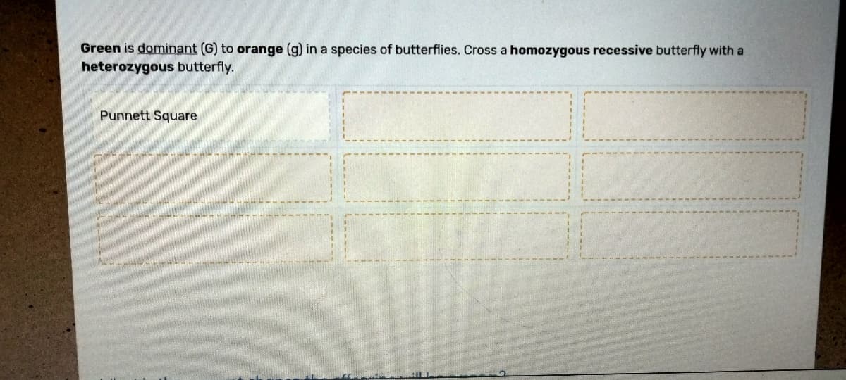 Green is dominant (G) to orange (g) in a species of butterflies. Cross a homozygous recessive butterfly with a
heterozygous butterfly.
Punnett Square