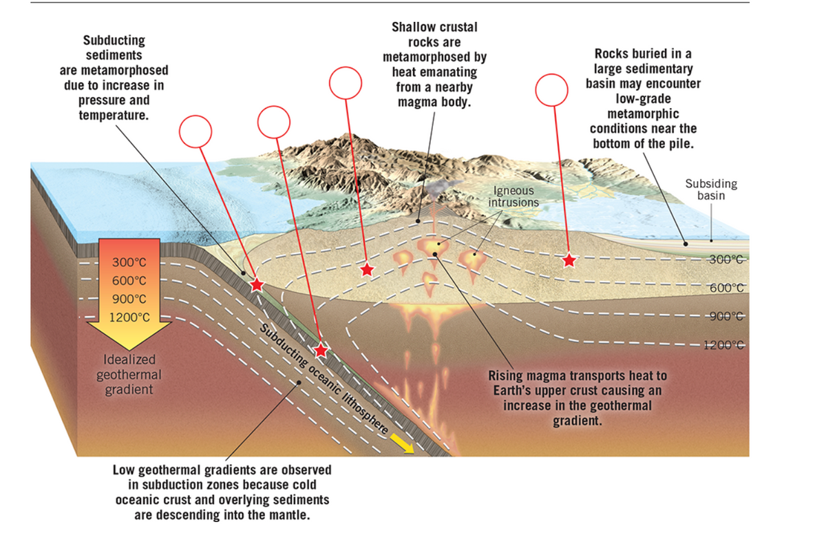 Subducting
sediments
are metamorphosed
due to increase in
pressure and
temperature.
300°C
600°C
900°C
1200°C
Idealized
geothermal
gradient
Shallow crustal
rocks are
metamorphosed by
heat emanating
from a nearby
magma body.
Subducting oceanic lithosphere
Low geothermal gradients are observed
in subduction zones because cold
oceanic crust and overlying sediments
are descending into the mantle.
Igneous
intrusions
Rocks buried in a
large sedimentary
basin may encounter
low-grade
metamorphic
conditions near the
bottom of the pile.
Rising magma transports heat to
Earth's upper crust causing an
increase in the geothermal
gradient.
Subsiding
basin
300°C
600°C
--900°C
200°C