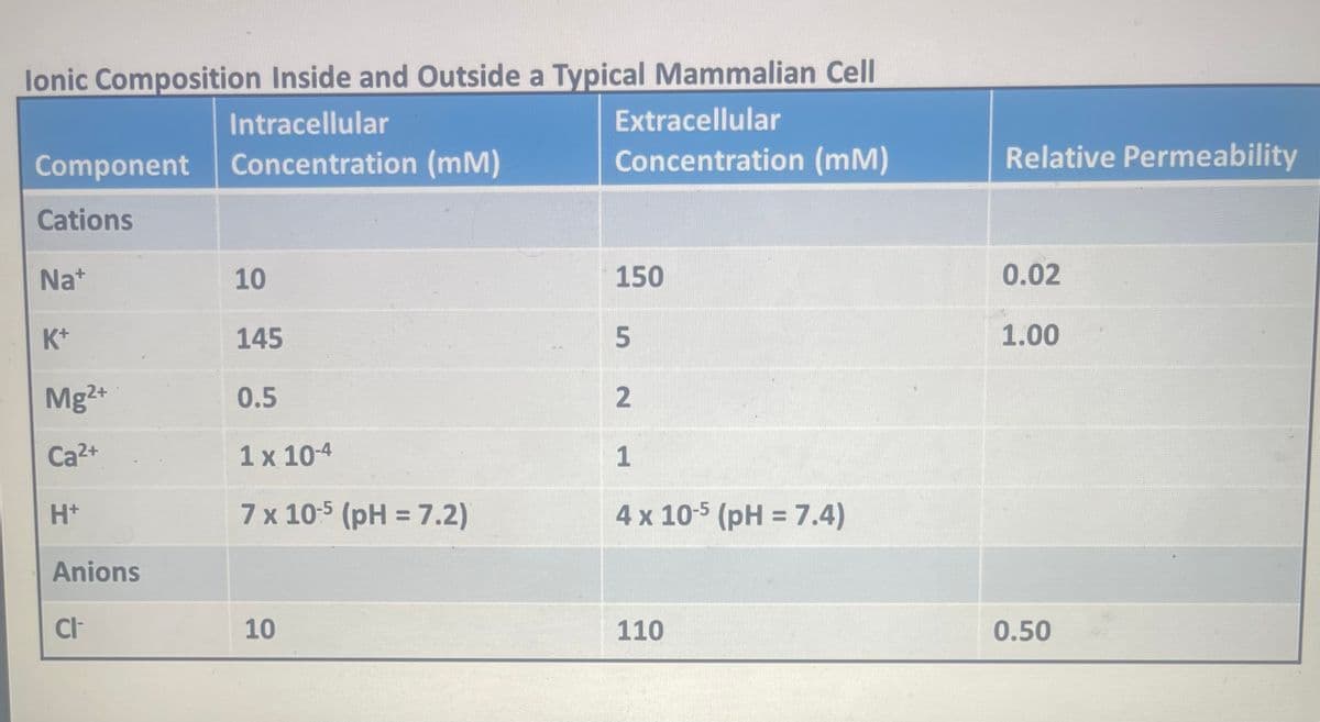 Ionic Composition Inside and Outside a Typical Mammalian Cell
Intracellular
Component Concentration (mm)
Cations
Na+
K+
Mg2+
Ca²+
H+
Anions
CI-
10
145
0.5
1 x 10-4
7 x 105 (pH = 7.2)
10
Extracellular
Concentration (mm)
150
52
1
4 x 10-5 (pH = 7.4)
110
Relative Permeability
0.02
1.00
0.50
