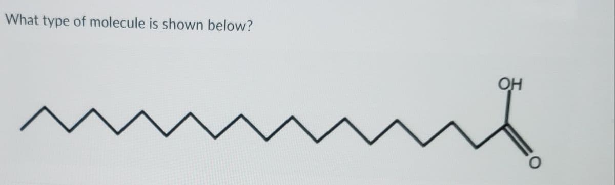 What type of molecule is shown below?
OH

