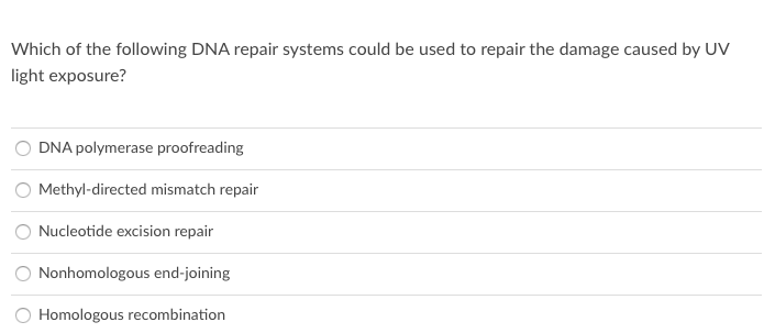 Which of the following DNA repair systems could be used to repair the damage caused by UV
light exposure?
DNA polymerase proofreading
Methyl-directed mismatch repair
Nucleotide excision repair
Nonhomologous end-joining
Homologous recombination
