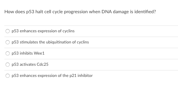 How does p53 halt cell cycle progression when DNA damage is identified?
p53 enhances expression of cyclins
p53 stimulates the ubiquitination of cyclins
p53 inhibits Wee1
p53 activates Cdc25
p53 enhances expression of the p21 inhibitor
