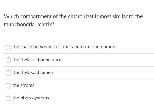 Which compartment of the chloroplast is most similar to the
mitochondrial matrix?
the space between the inner and outer membrane
the thylakoid membrane
the thylakoid lumen
the stroma
the photosystems

