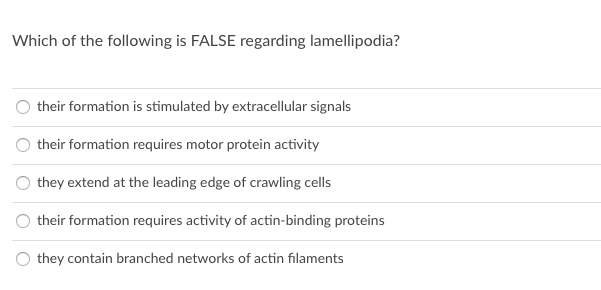 Which of the following is FALSE regarding lamellipodia?
their formation is stimulated by extracellular signals
their formation requires motor protein activity
they extend at the leading edge of crawling cells
their formation requires activity of actin-binding proteins
they contain branched networks of actin filaments
