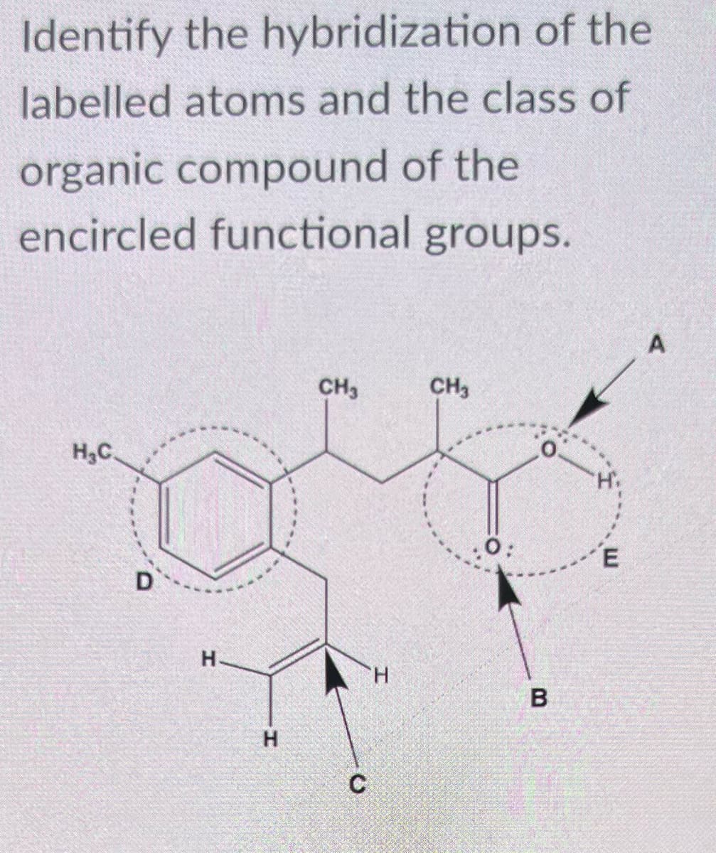Identify the hybridization of the
labelled atoms and the class of
organic compound of the
encircled functional groups.
H₂C.
D
H
H
CH3
C
CH3
0:
B
E
A