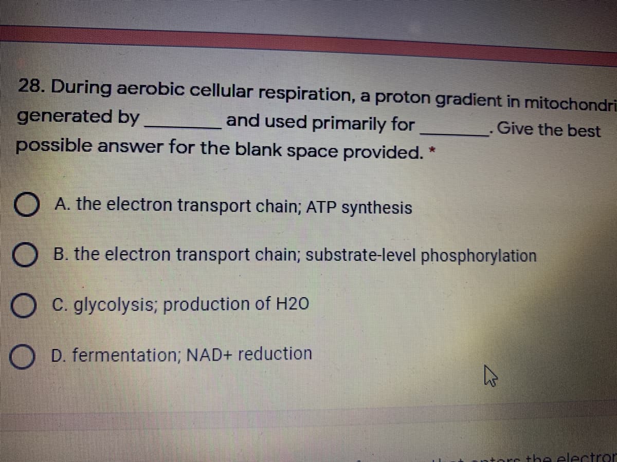 28. During aerobic cellular respiration, a proton gradient in mitochondri
generated by
possible answer for the blank space provided.
and used primarily for
Give the best
A. the electron transport chain; ATP synthesis
B. the electron transport chain; substrate-level phosphorylation
O C. glycolysis; production of H2O
D. fermentation; NAD+ reduction
+he electror
